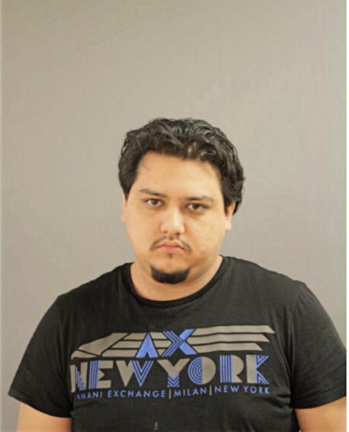OSCAR ROMAN, Cook County, Illinois
