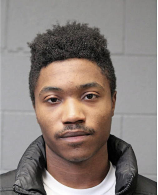 CALVIN J SEAY, Cook County, Illinois