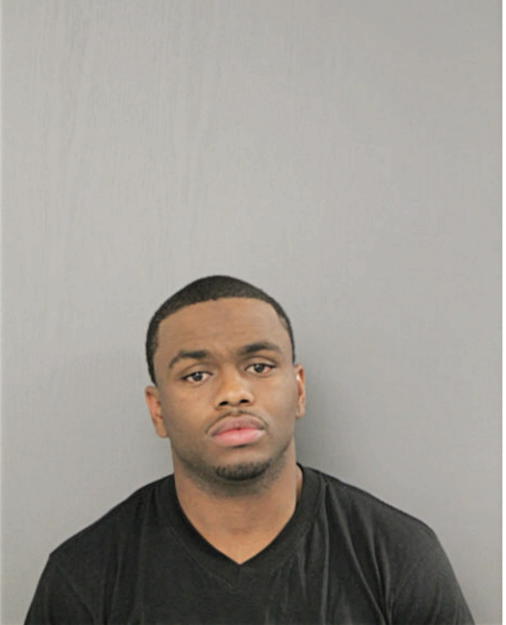 ROBERT H STAFFORD, Cook County, Illinois