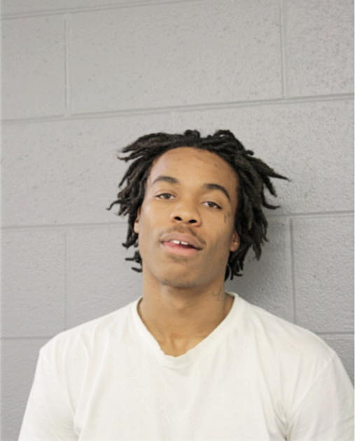 LEE J STEVENSON, Cook County, Illinois