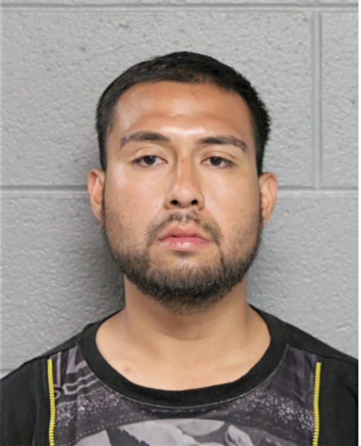 ERICKBERTO TRUJILLO, Cook County, Illinois