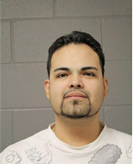 LUIS M VIZCAINO, Cook County, Illinois