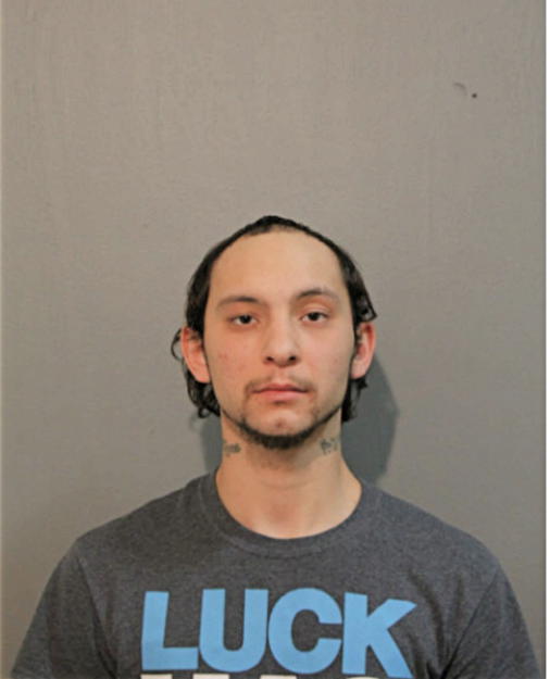 NEIL M WHITE, Cook County, Illinois