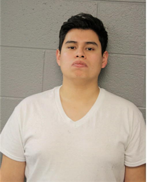 MARIO ALVAREZ, Cook County, Illinois