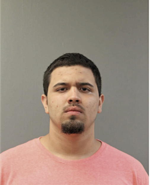 BRANDON BENITEZ, Cook County, Illinois