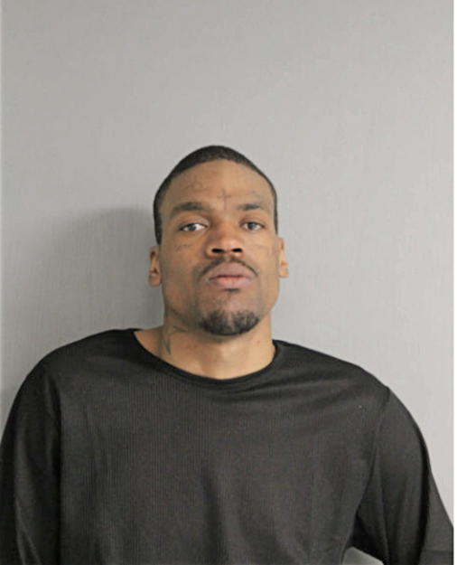 NICHOLAS A BROWN, Cook County, Illinois