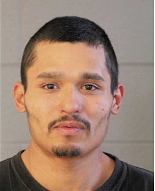 DAVID C CALVILLO, Cook County, Illinois