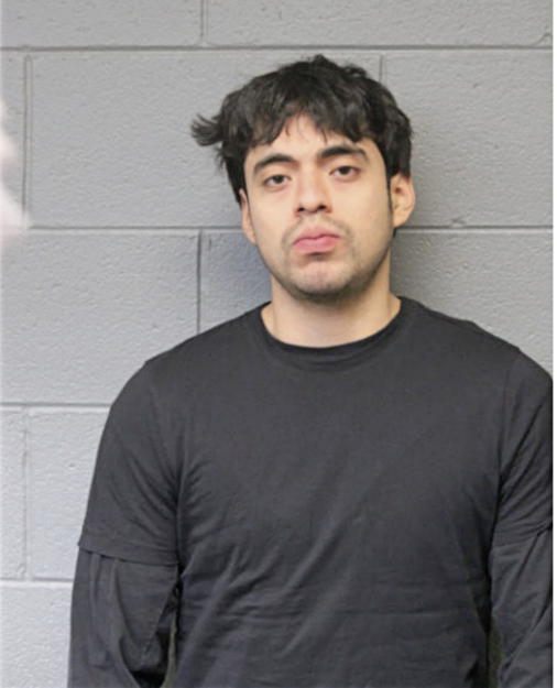 ENRIQUE CERVANTES, Cook County, Illinois