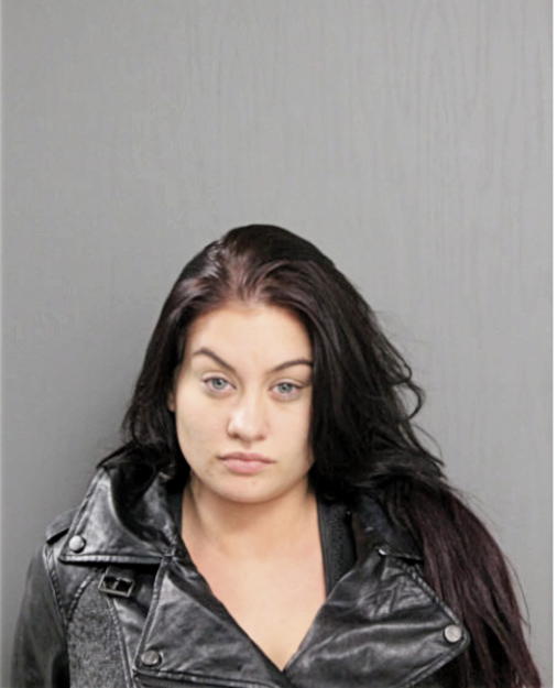 EMILY A DAVALLE, Cook County, Illinois