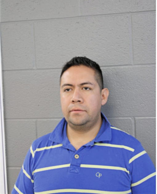 BERNARDO VIDAL FERNANDEZ, Cook County, Illinois