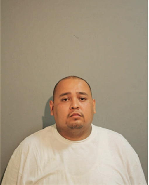 MICHAEL E FLORES, Cook County, Illinois