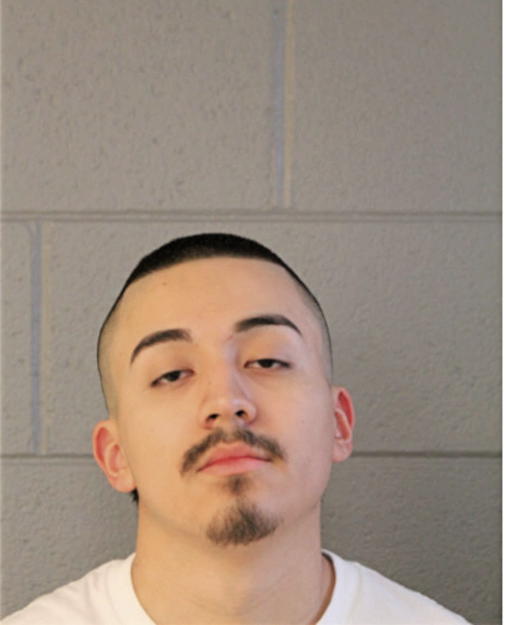 JOEL X GARCIA, Cook County, Illinois
