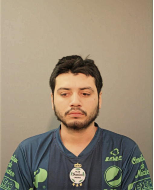 VICTOR O GARCIA, Cook County, Illinois