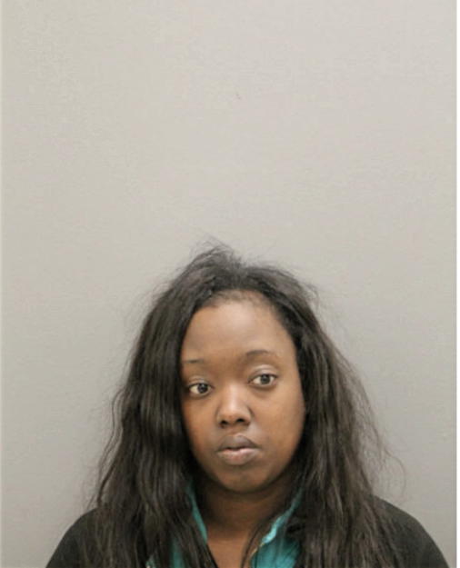 FAITH ANN JOHNSON, Cook County, Illinois