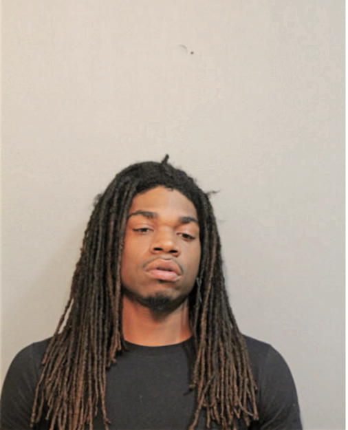 JIMMIE L MATTHEWS, Cook County, Illinois