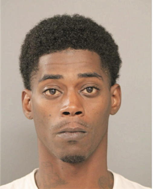 MICHAEL C MCGEE, Cook County, Illinois