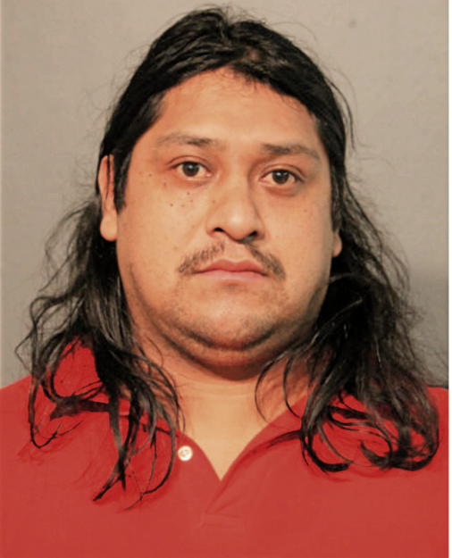 GUILLERMO U MENDOSA,, Cook County, Illinois