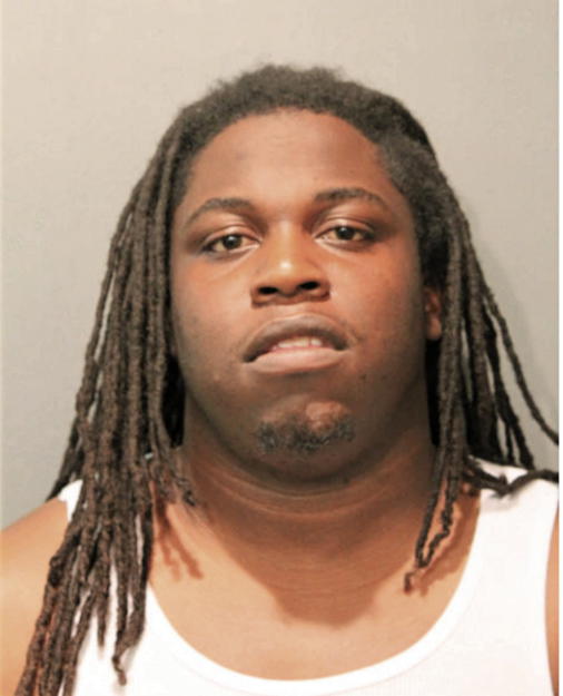 BRUCE A ROBINSON, Cook County, Illinois