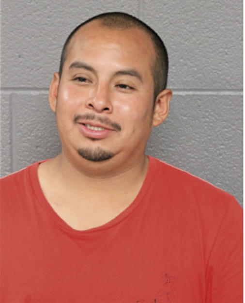 JAIME R ROMAN, Cook County, Illinois