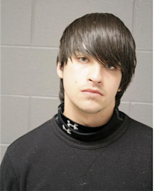 DAVID A SCHRECK, Cook County, Illinois