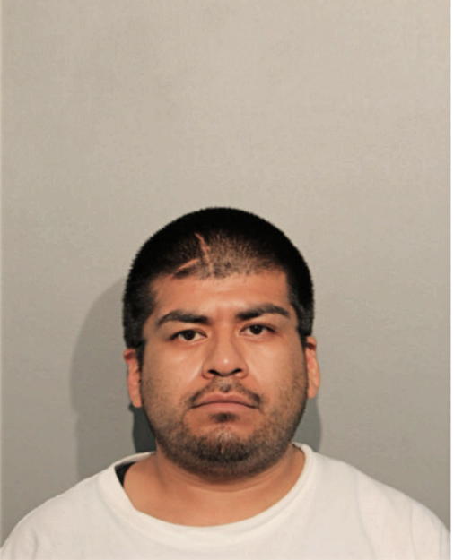 DAVID BAUTISTA TORREZ, Cook County, Illinois