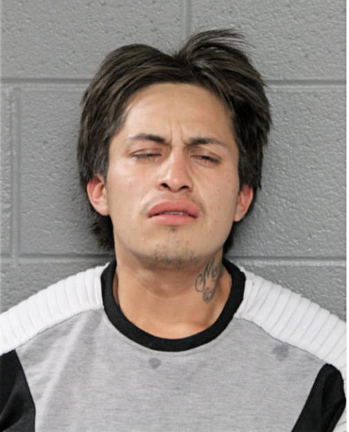 LUIS VASQUEZ, Cook County, Illinois