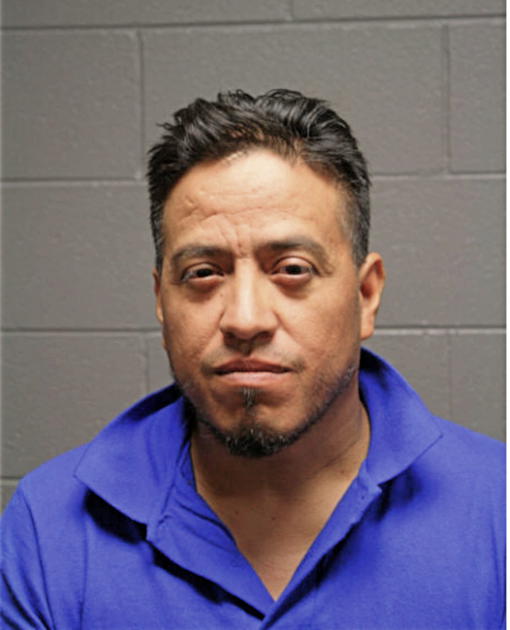GABRIEL ROJAS VERGARA, Cook County, Illinois
