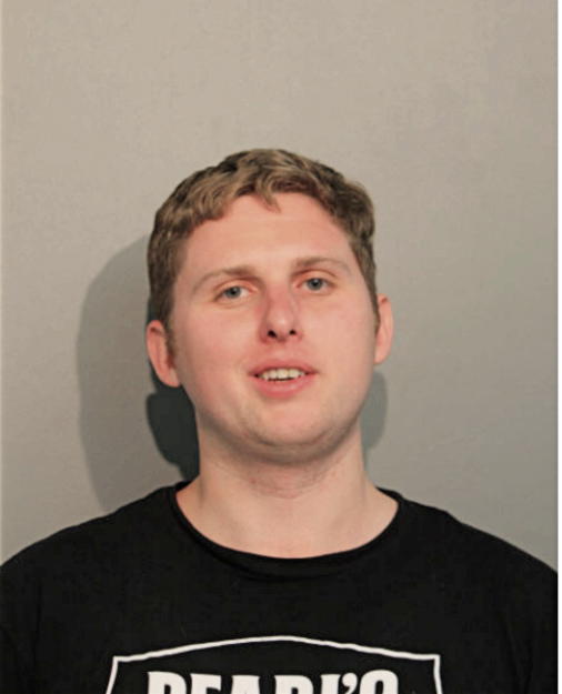 MICHAEL A WEBSTER, Cook County, Illinois