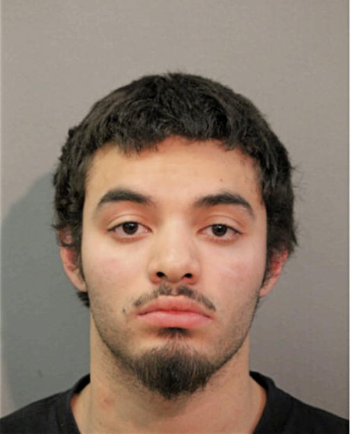 FABIAN CESAR ALVARADO, Cook County, Illinois
