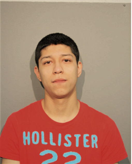 STEVEN L BAHENA, Cook County, Illinois