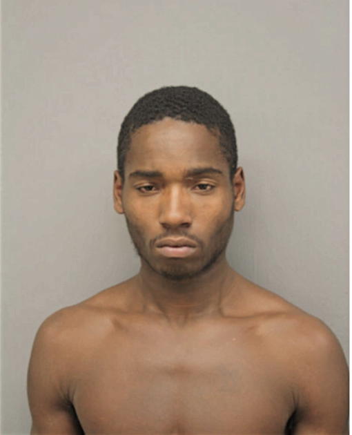 JERRY T BRADFORD, Cook County, Illinois