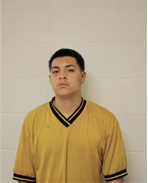 ALEXIS CORREA, Cook County, Illinois