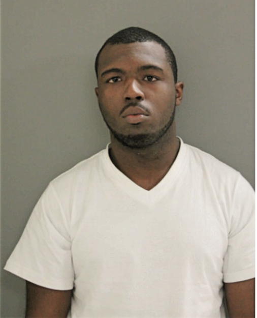 MICHAEL L CUNNINGHAM, Cook County, Illinois