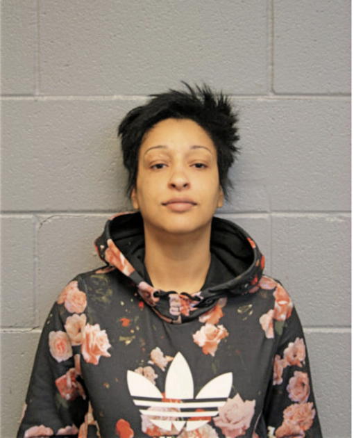CHRISTIAN T DONALDSON, Cook County, Illinois