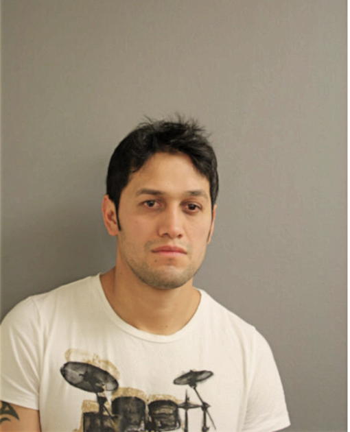 JUAN M ESTRADA, Cook County, Illinois