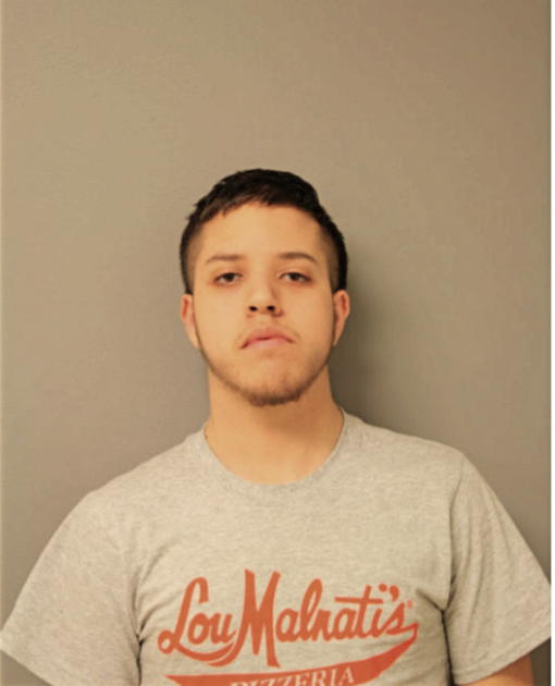 RUBEN H FLORES, Cook County, Illinois