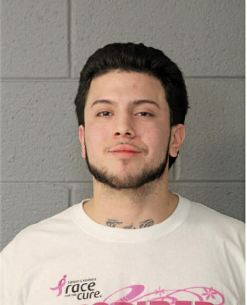 CARLOS A GONZALEZ, Cook County, Illinois