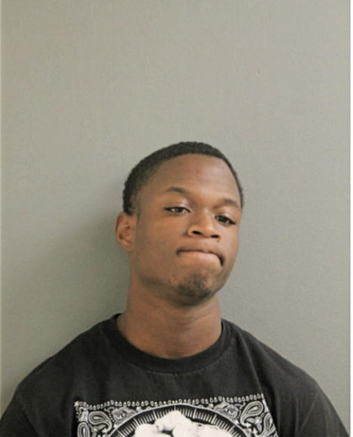 ISHMAEL M HENRY, Cook County, Illinois