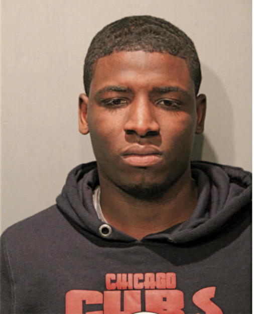 MICHAEL B HOLMES, Cook County, Illinois