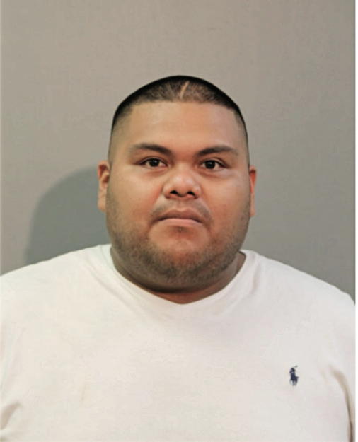DAVIS LAGUNAS, Cook County, Illinois