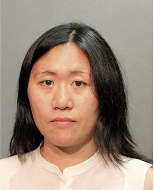 XIA LIN, Cook County, Illinois