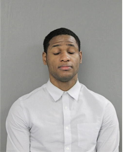 RAPHELLE J LOWERY, Cook County, Illinois