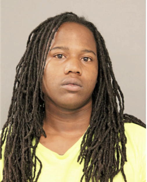 RAMIRES T LYONS, Cook County, Illinois
