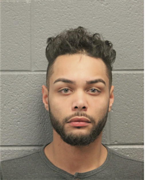 ANTHONY D MARTINEZ, Cook County, Illinois