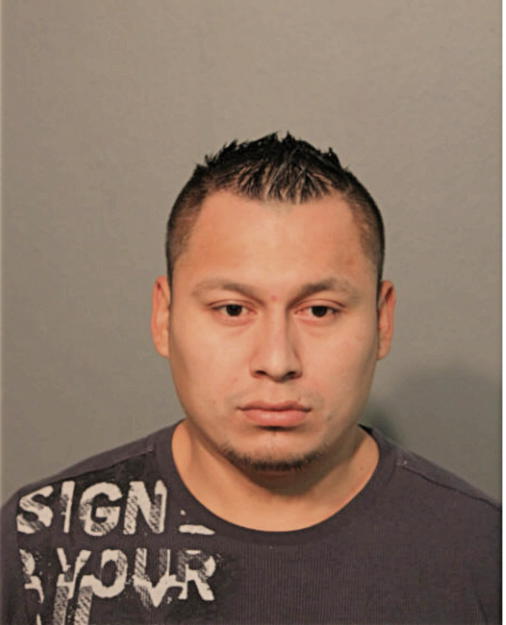HIPOLITO MEJIA, Cook County, Illinois