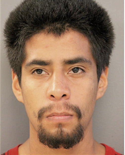 LOUIS E RAMIREZ, Cook County, Illinois