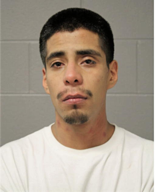 LUIS E RAMIREZ, Cook County, Illinois