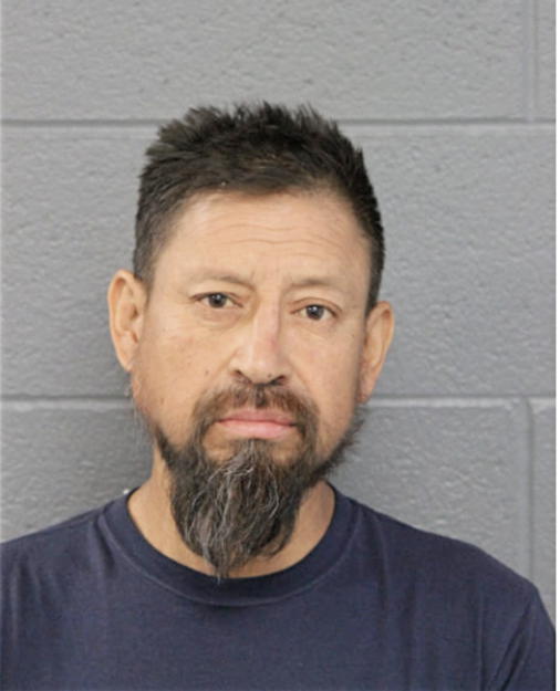 LENIN T ULLOA, Cook County, Illinois