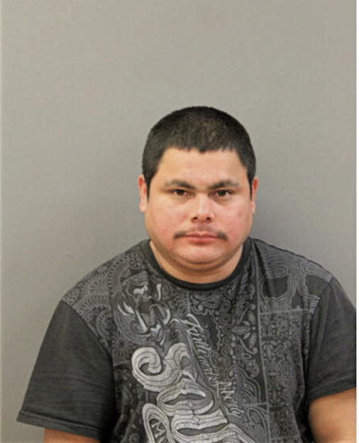 OSWALDO VICENTE, Cook County, Illinois