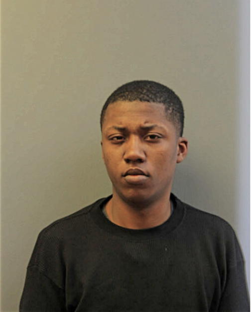 DARNEL WATSON, Cook County, Illinois